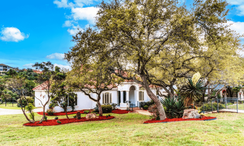 Trimmed and healthy trees adding beauty and value to a residential property in Stone Oak serviced by Viva Trees