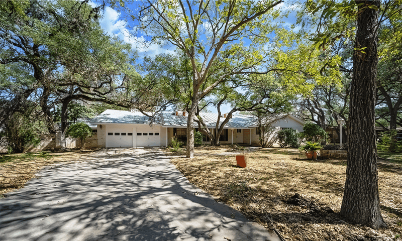 Mature shade trees expertly pruned by Viva Trees in Universal City, TX