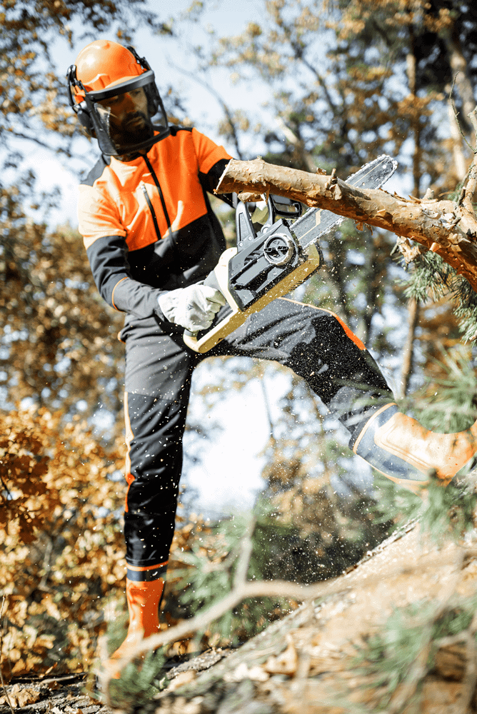 Arborist using chainsaw to remove large tree limb