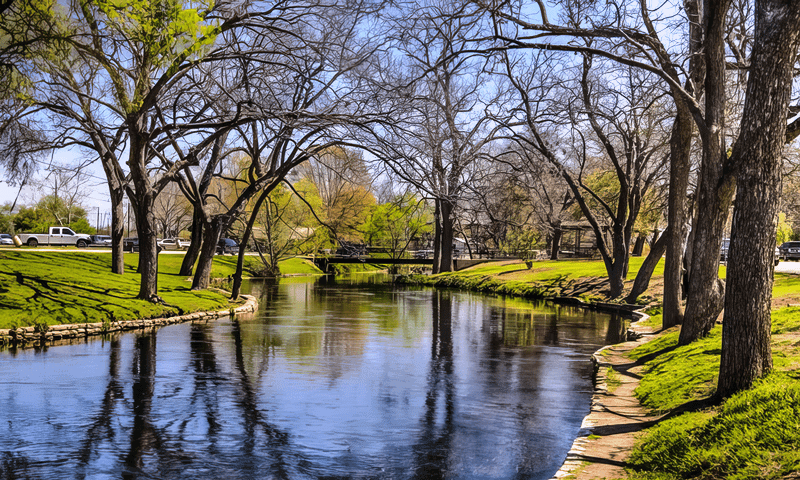 Large oak tree trimming in New Braunfels, TX