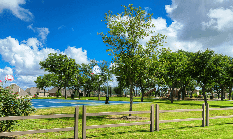 New trees planted at a park in Cibolo, TX (1)