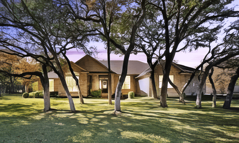 Pruned Trees in Buda, TX (1)