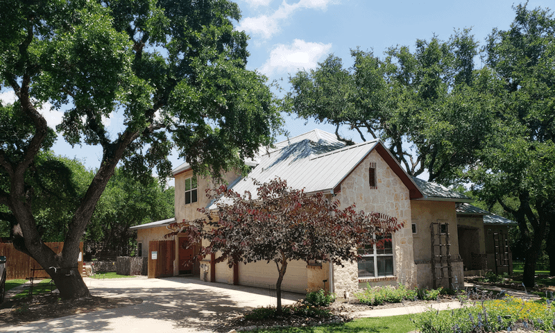 Beautiful trees trimmed in Fair Oaks Ranch, TX