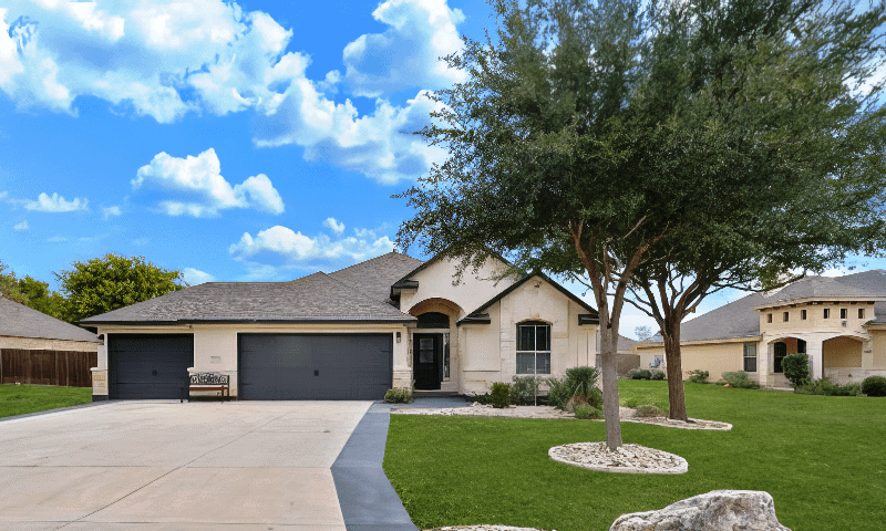 Trimmed and shaped trees adding curb appeal to a residential property in Selma, TX serviced by Viva Trees