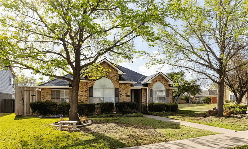 Two large oak trees in front yard of a home in Carrolton, TX