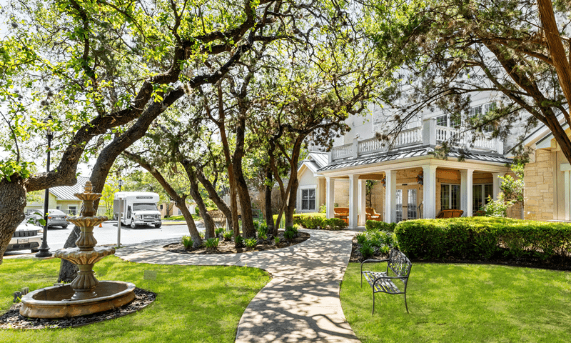 Healthy and well-maintained trees providing a natural backdrop to a scenic area in Shavano, Park, TX, serviced by Viva Trees