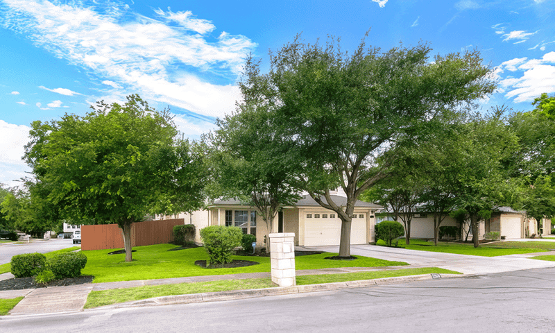 Oak trees trimmed in Converse, TX neighborhood