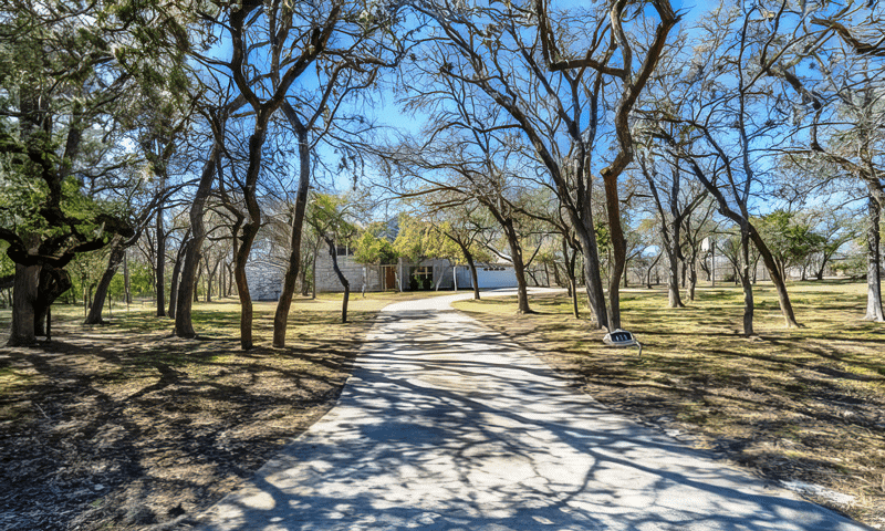 Large trees trimmed in Scenic Oaks, TX