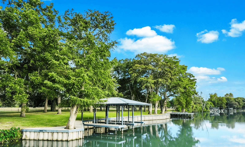 Majestic trees providing shade and cool respite on the river side in Seguin], TX, serviced by Viva Trees
