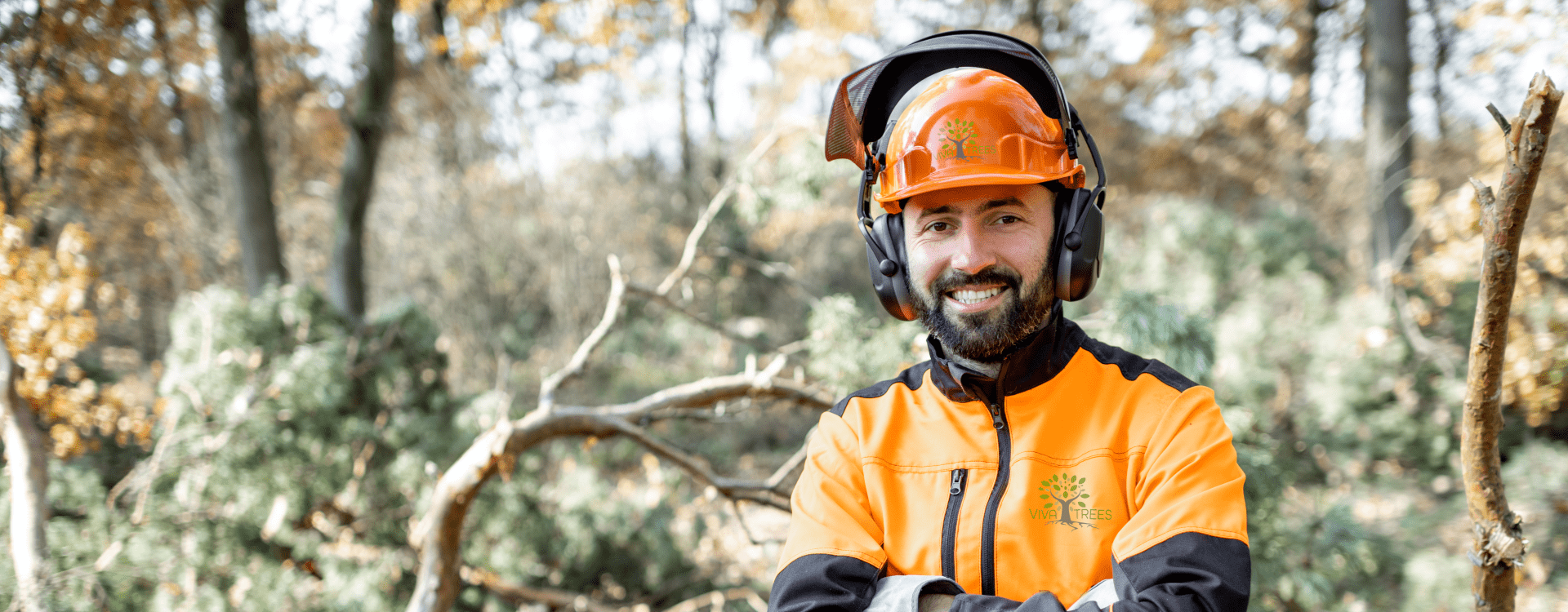 Viva Trees Professional Arborist Lumberjack