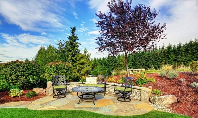 Beautiful and healthy trees in the backyard of a home that are well maintained