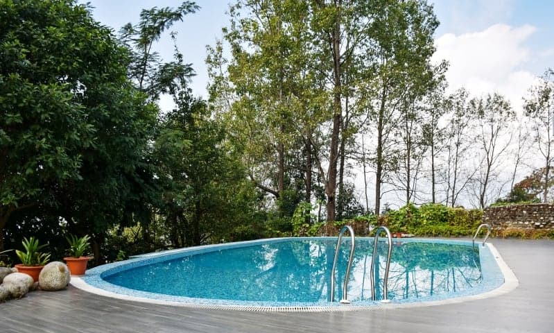 Beautiful trees pruned in the backyard a home