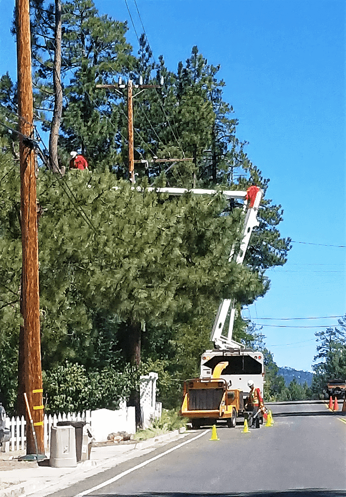 Crane truck being used to reach tall trees to prune and reshape