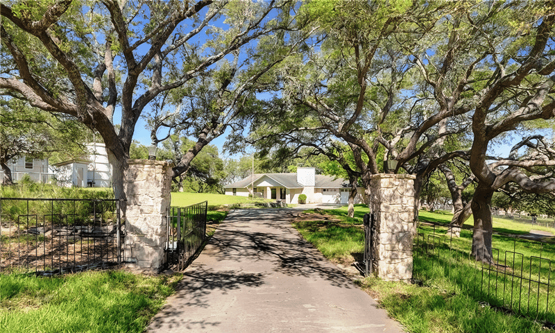 Immaculately groomed trees in the front yard of a large residential property in Spring Branch, TX, serviced by Viva Trees