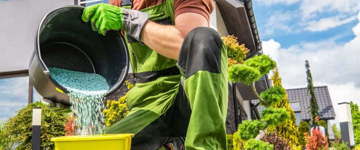 Tree worker fertilizing trees and shrubs