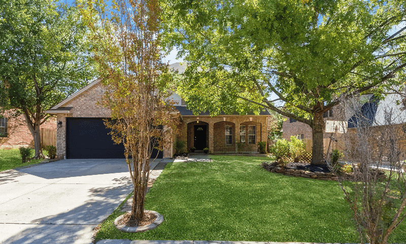 Vibrant and healthy trees in a front yard serviced by Viva Trees in Schertz, TX