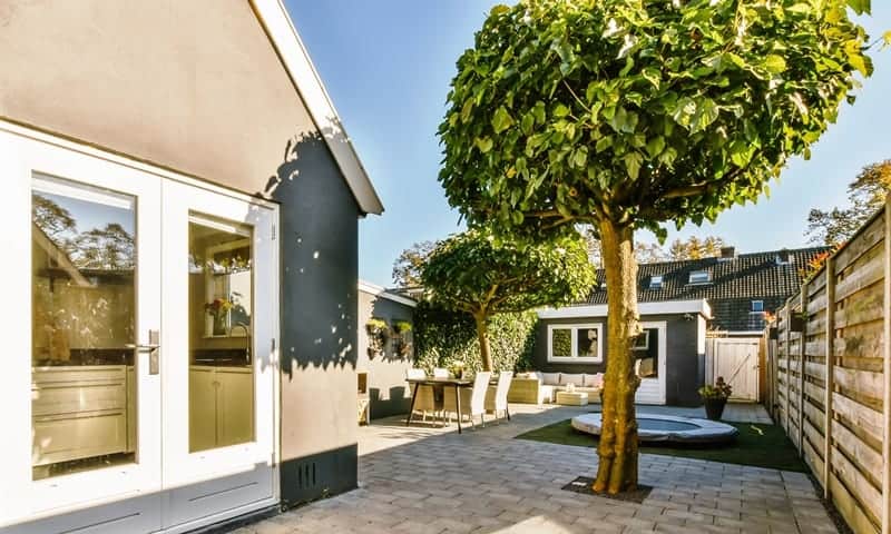 A beautiful tree roundly shaped in backyard of a home