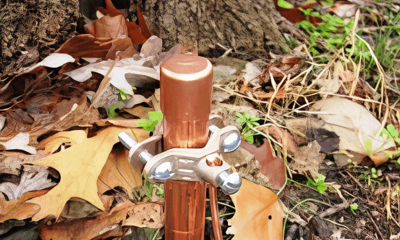 A close-up of a tree lighting protection system air terminal installed
