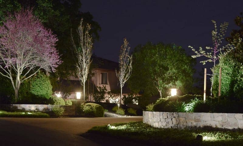 A high-end residential home with beautiful tree lighting installed