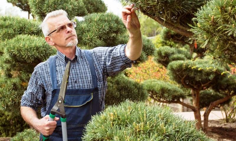 A tree expert giving a customer some tree care tips
