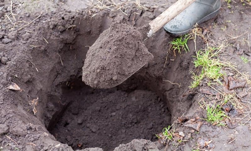 A tree worker digging a hole with shovel