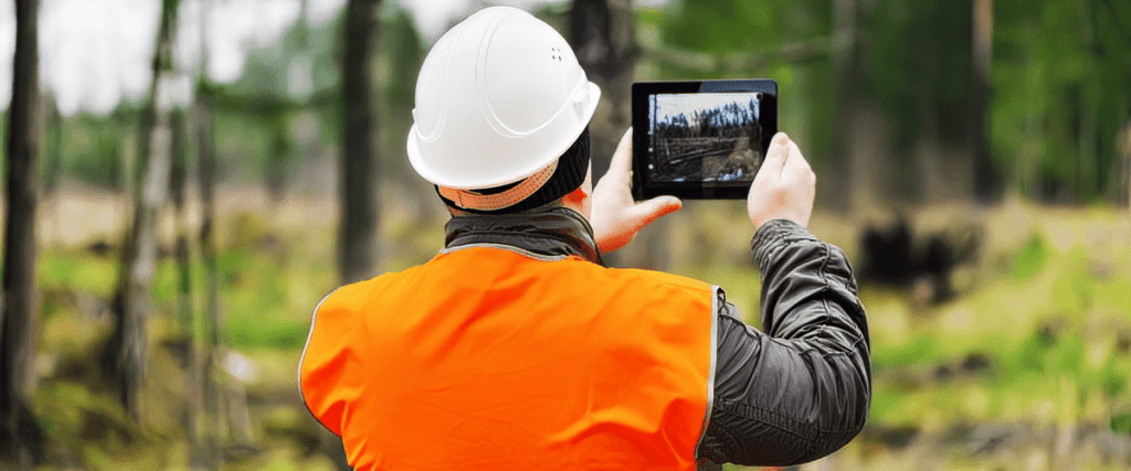Using Sustainable Tree Care Practices | Viva Trees