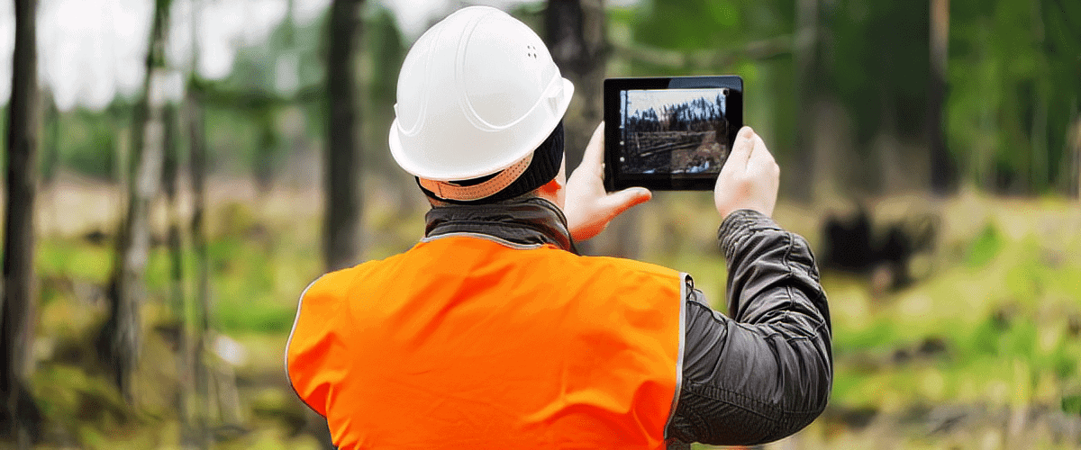 Arborist mapping trees with tablet 