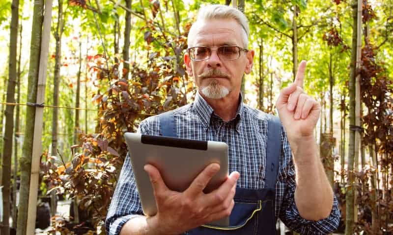 Arborist pointing to a tree suitable for a homeowners' property
