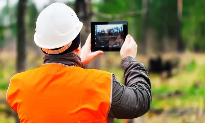 Arborist taking pictures a trees on a property to create an inventory list
