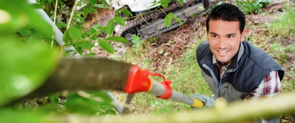 Differences Between Tree Pruning & Trimming | Viva Trees