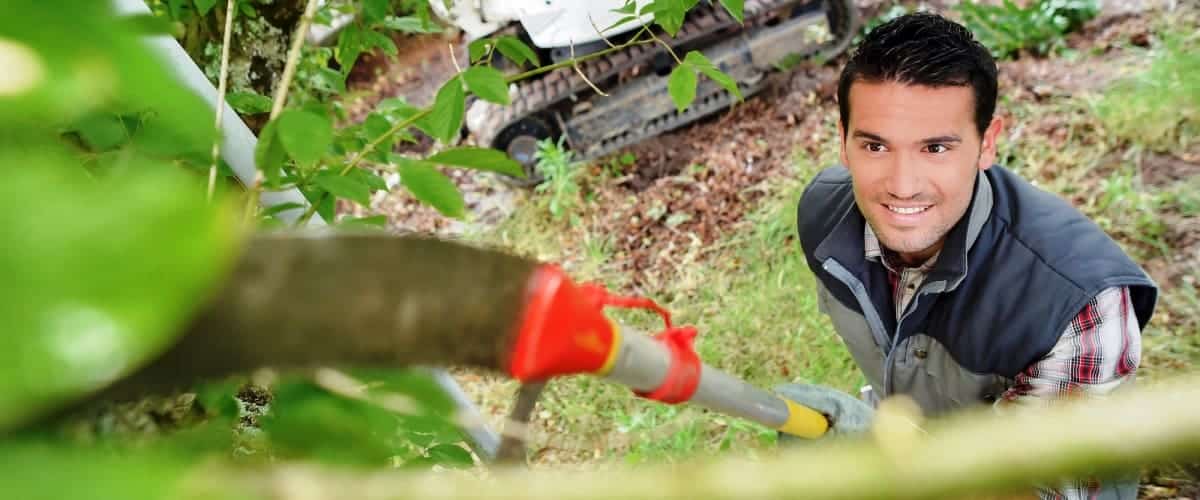 Arborist trimming a branch with pole saw