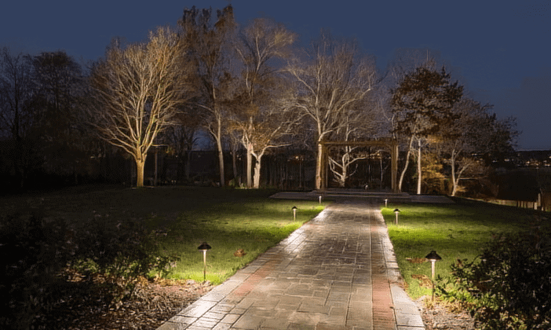 Beautiful landscape and tree lighting in backyard of residence