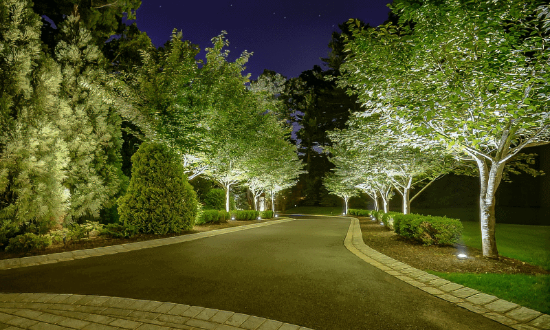 Front entrance tree lighting design of a high-end residencev