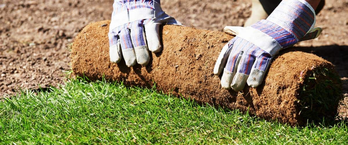 New lawn installation