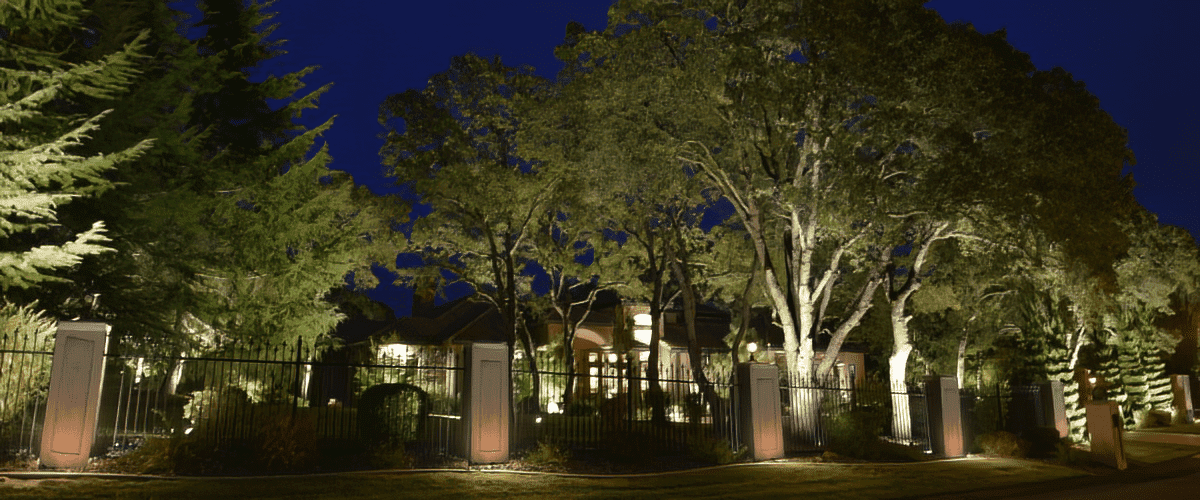 Residential property illuminated with pro tree lights