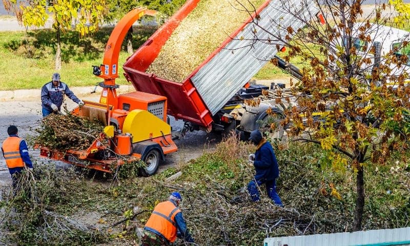 Tree crew clearing trimmed branches