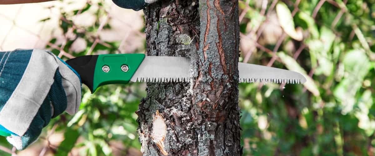 Tree worker pruning a tree with hand saw (1) Tree worker pruning a tree with hand saw