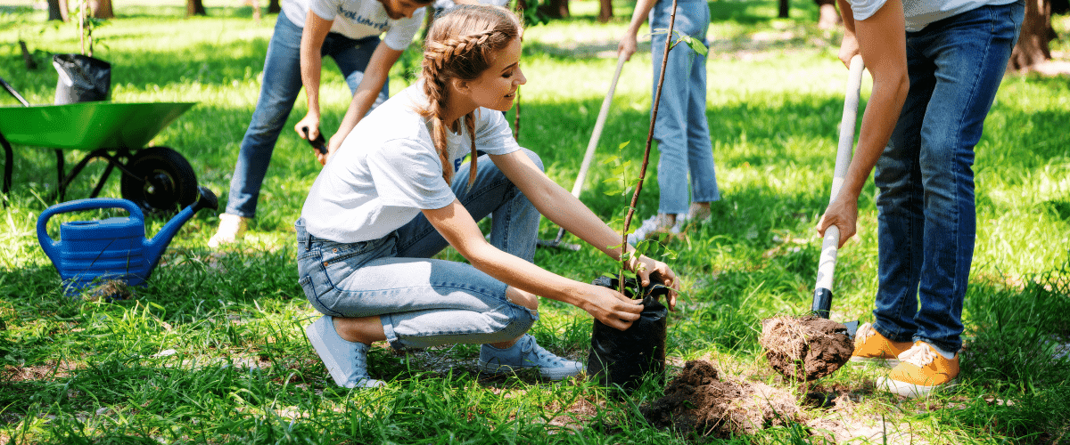 A group of people planting new trees