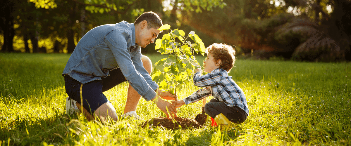 A man and his son planting a new tree