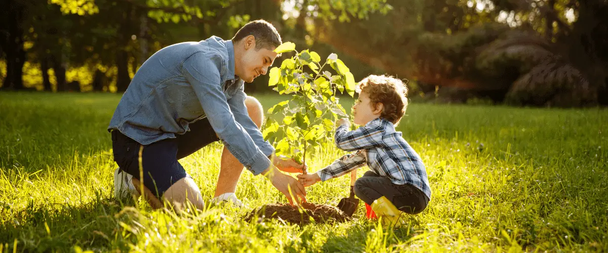 How Urban Trees Improve Air Quality And Combat Climate Change Viva Trees