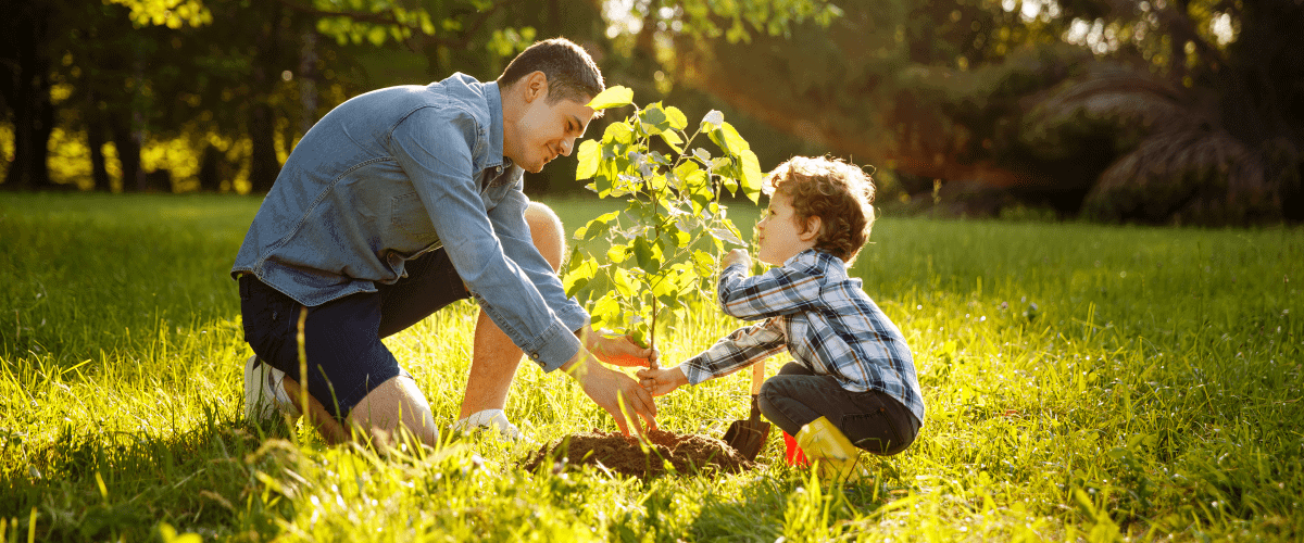 A man planting a tree with his son A man planting a tree with his son
