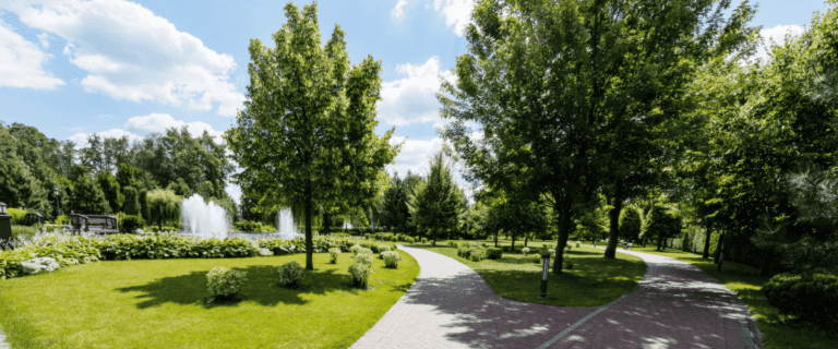 Recycling And Reusing Tree Materials: Turning Waste Into Value | Viva Trees