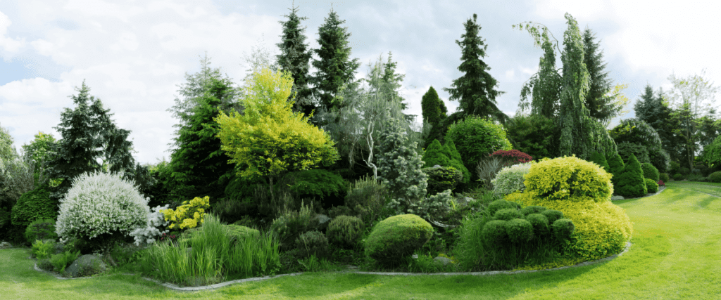 Stunning Tree Care Maintenance image