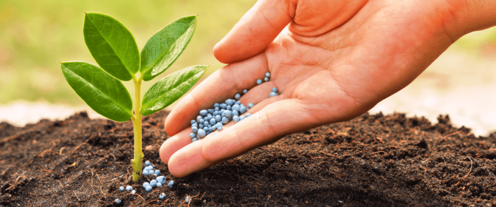 The Ultimate Tree Health Checklist: How to Keep Your Trees Strong and ...