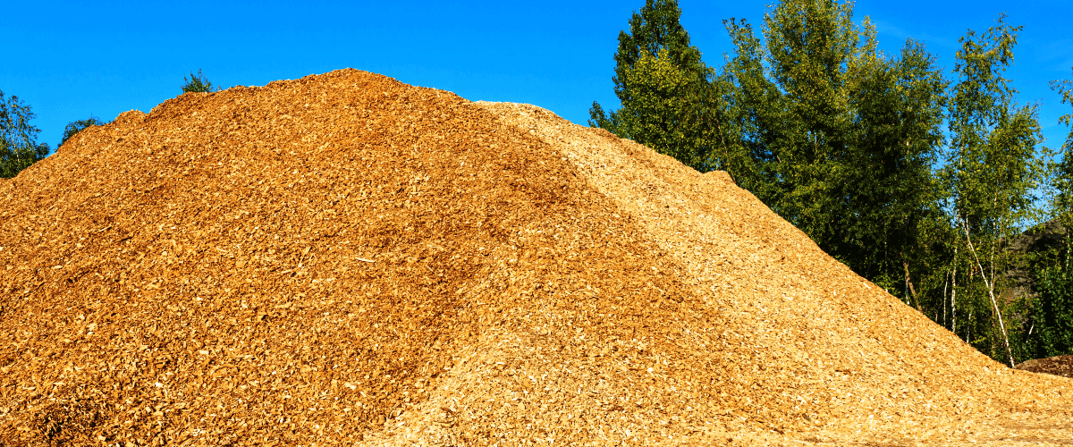 Large pile of reusable saw dust