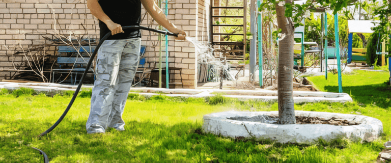 Arboriculture & Tree Services in Singapore | Abuzz Landscape