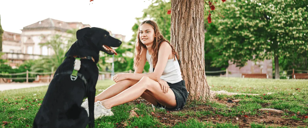 How Urban Trees Improve Air Quality And Combat Climate Change Viva Trees